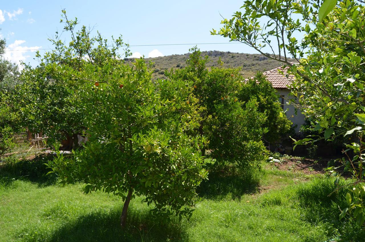 Beyoglu Pansiyon Patara Exterior foto